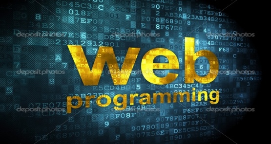 Fases desarrollo web